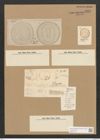 Campylodiscus clypeus Ehr. (de-Toni-Nr.: Genus 57, Species 2452) Zeichnungen Sammlung Grunow Nr. 4936 (NHMW-BOT-W0373149)